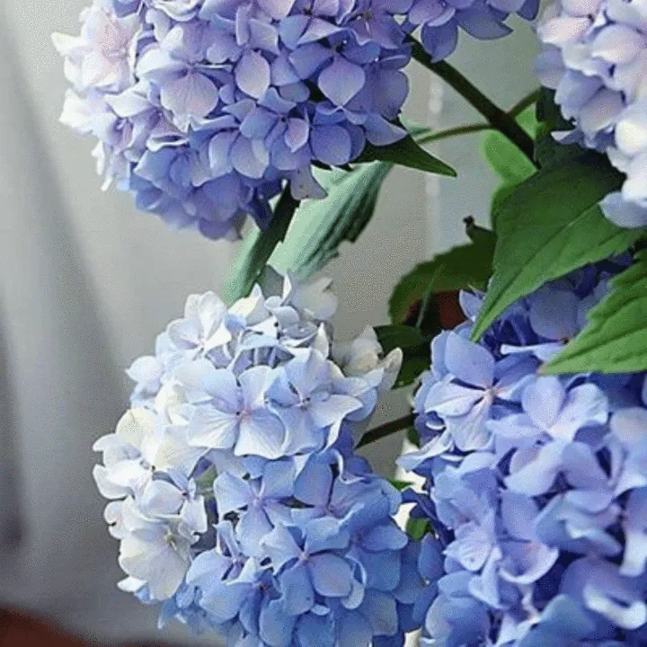 Paint By Number: Happily Hydrangeas Pink Picasso paint kit